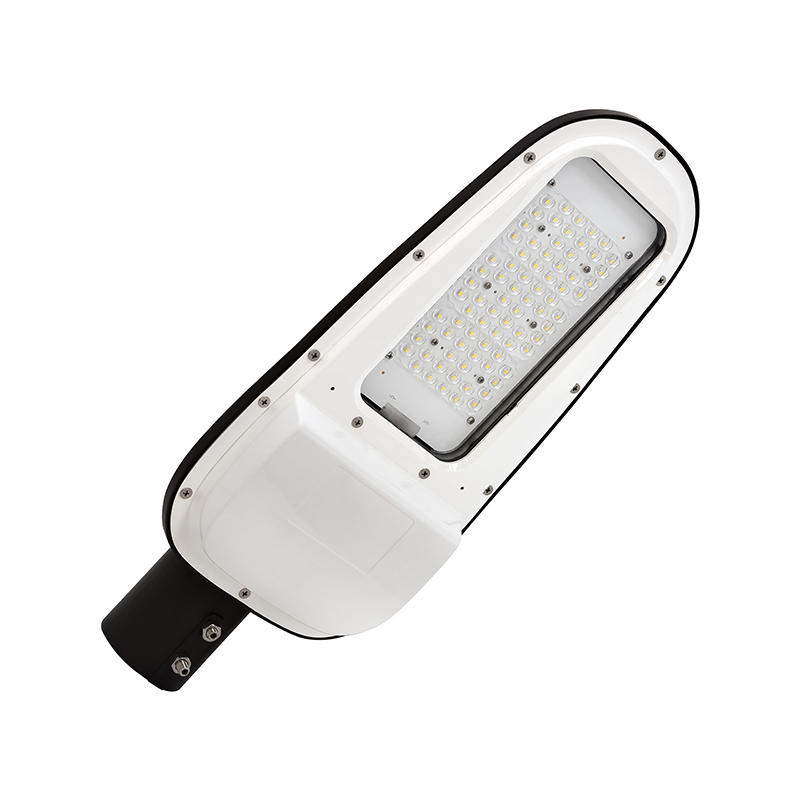 Đèn đường LED chống sâu bướm LEDMZ8