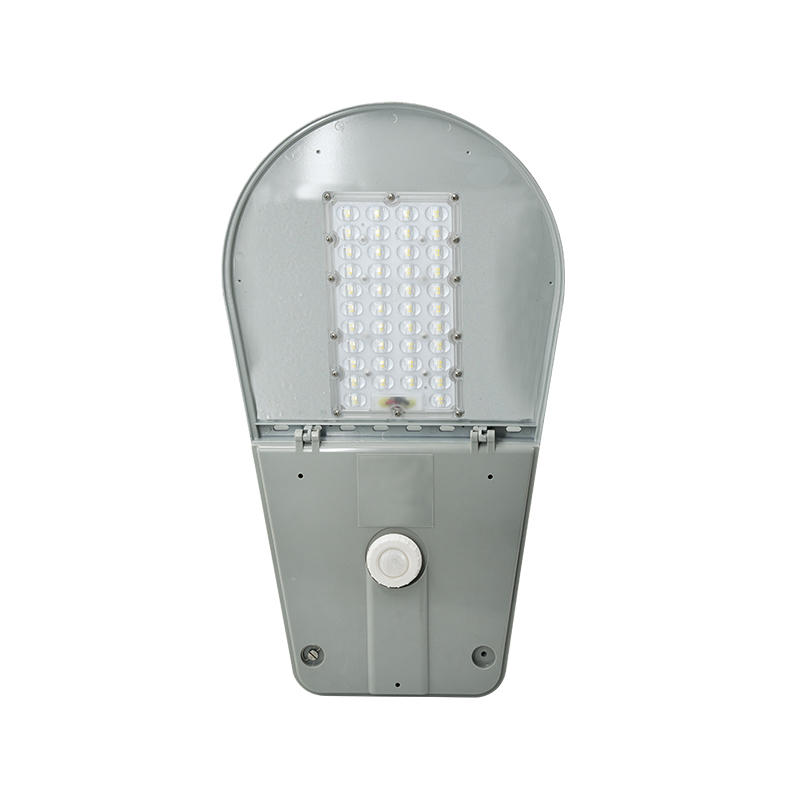 Đèn đường LED ổn định LEDMZ6
